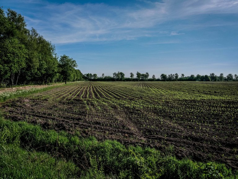 kempen-belgium-campine