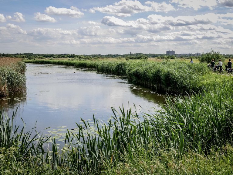 netherlands-river-denbosch