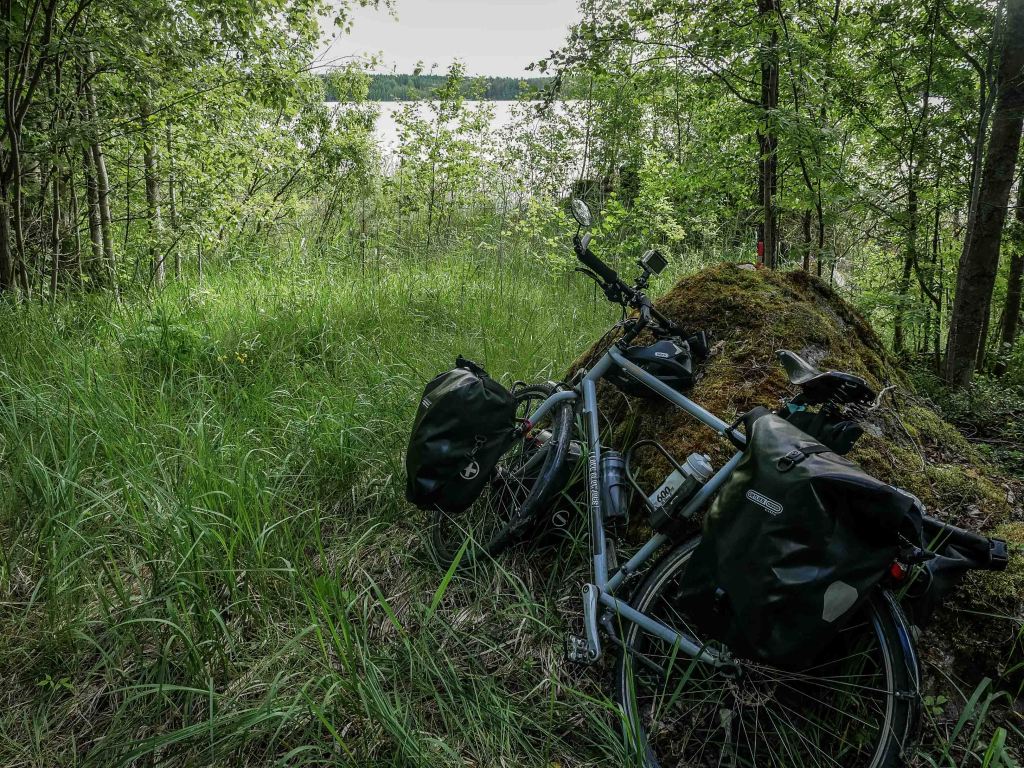 Finland-bike-forest