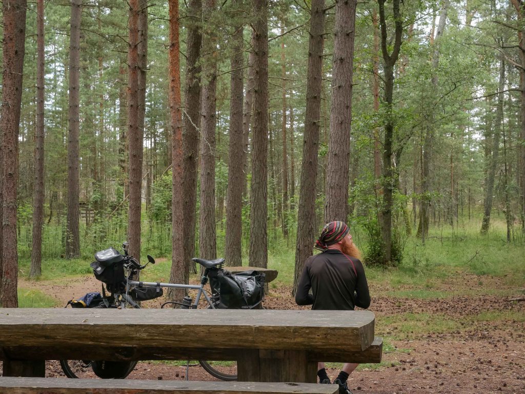 Lthuania-forest-nida